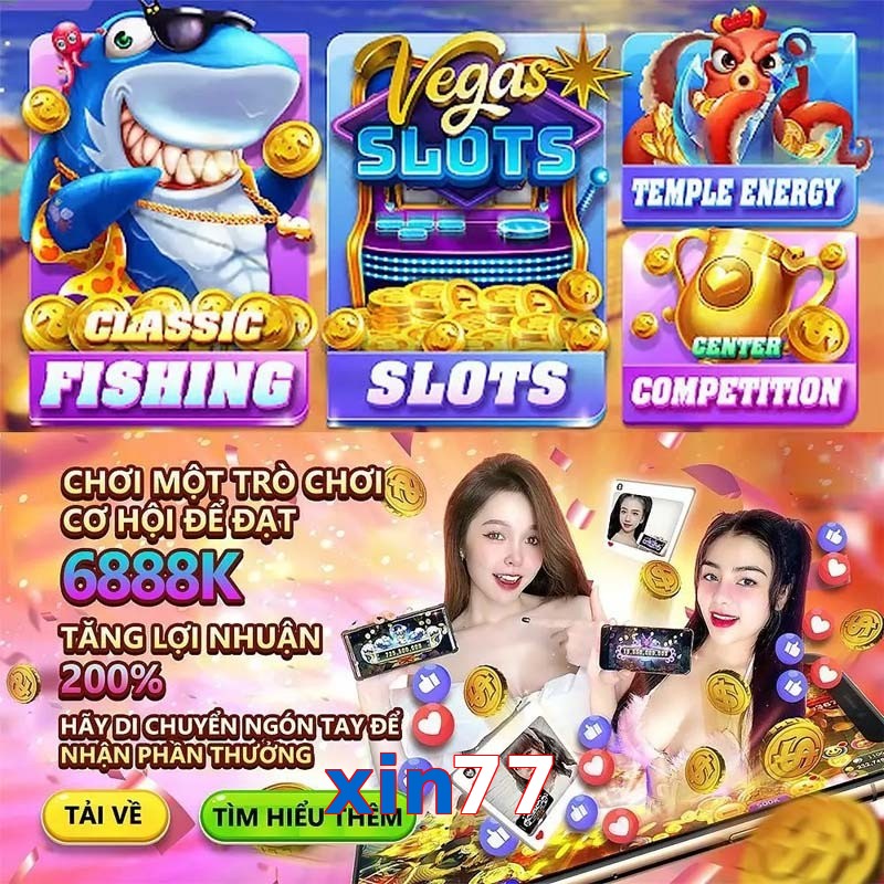 xin77