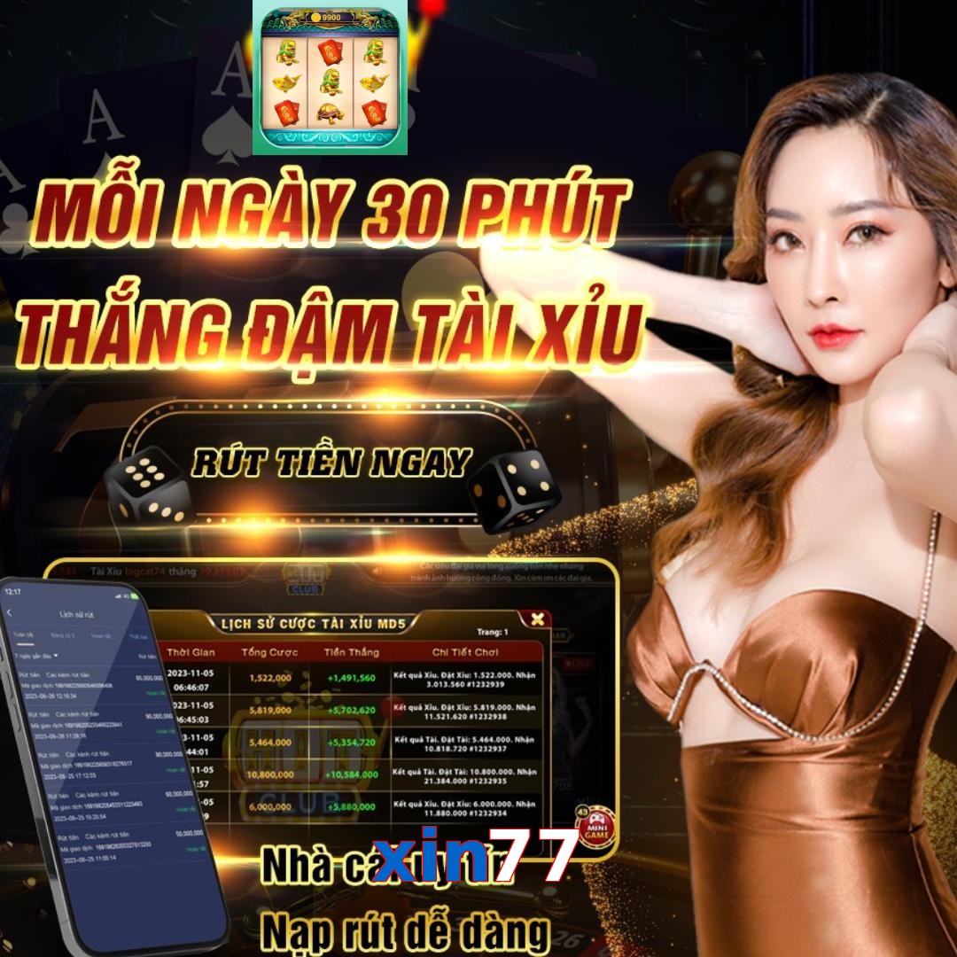xin77