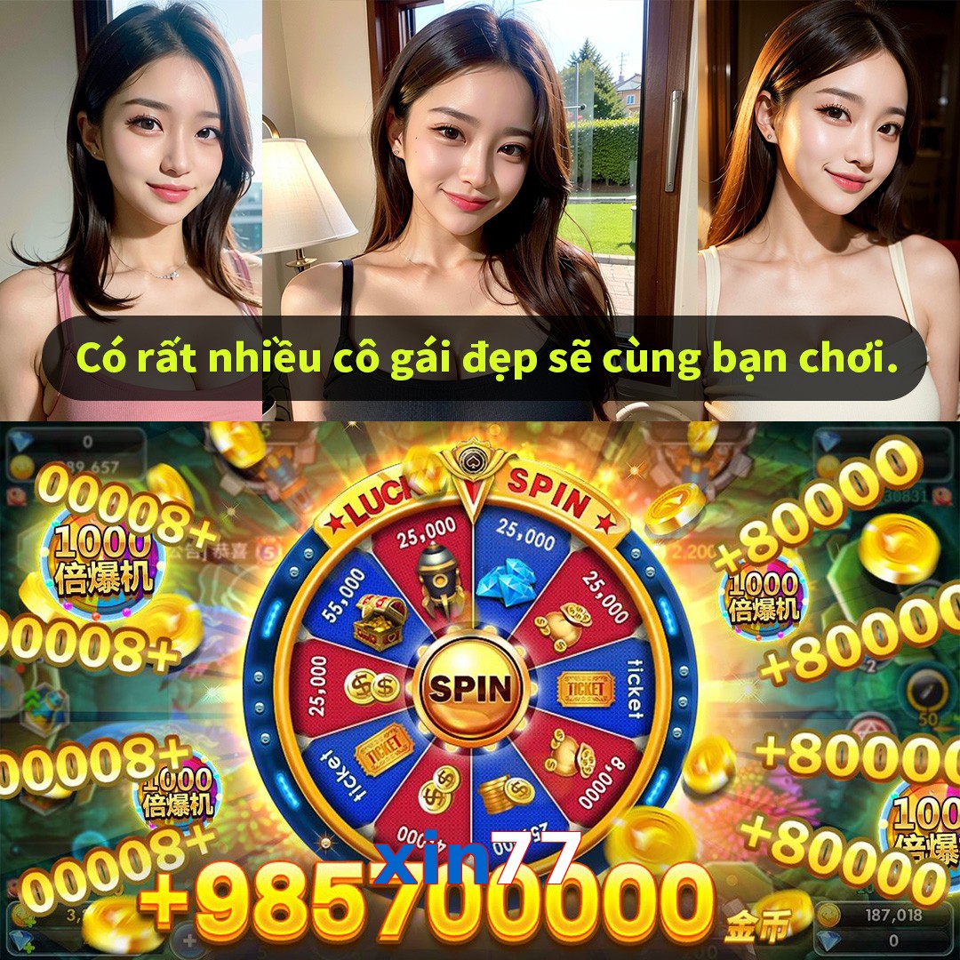 xin77
