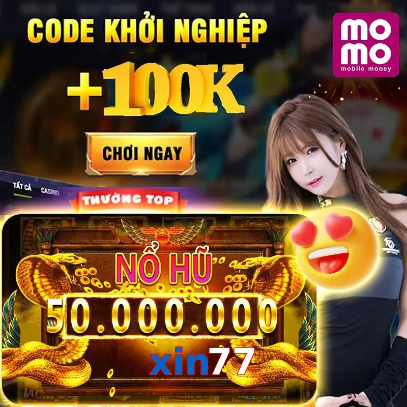 xin77