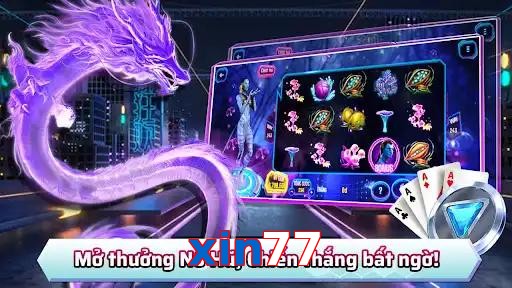 xin77