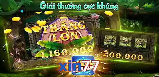 xin77