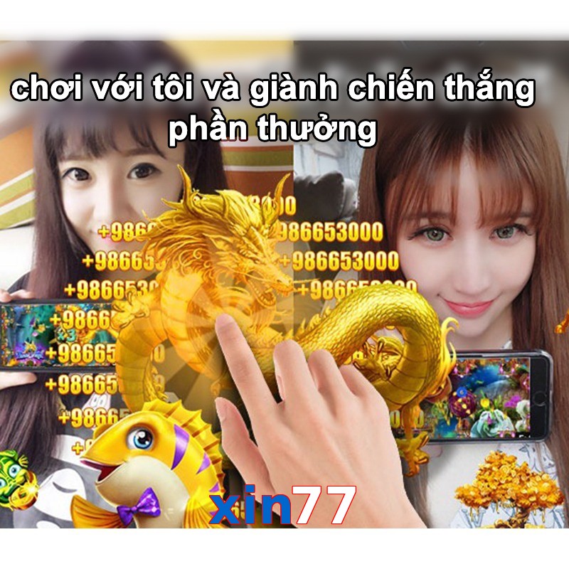 xin77